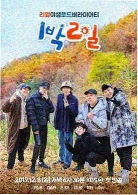 乘风2024-七七影视大全下载